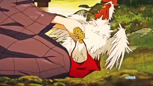 坤：鸡鸡鸡？？？ 