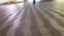 【童锦程】子圣趁小童拍照搭讪小姐姐！