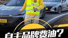 惊呆了，百元油耗测试，两台自主品牌垫底