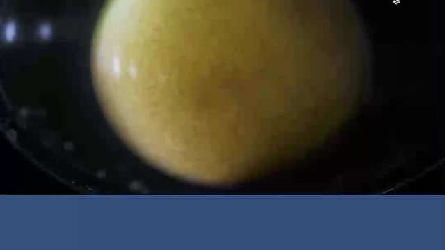 胚胎的发育过程，会否被生命的伟大所震撼？