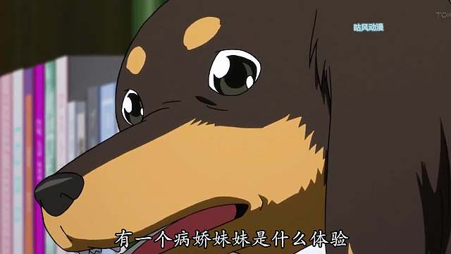  喜欢被人欺负的大姐姐，温柔对她反而是折磨