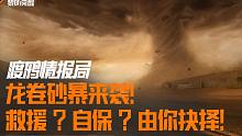 龙卷砂暴来袭！自保或营救，你将如何抉择？
