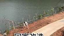 改造日记135集｜这集改造靠近湖边的土地。#新农人计划2023 #抖音乡村生活家 #老房改造 #乡村