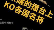 在荣耀擂台上KO各国名将，他是谁？
