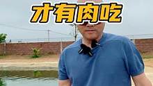 胆子大的，才有肉吃！#谢#鳄鱼 #鳄鱼养殖场