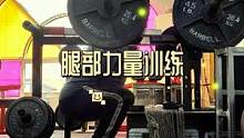 从来不敢懈怠腿部训练，大力士所有力量展示，离不开强大的腿部力量