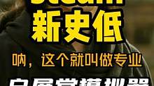 怎么又又又新史低！steam特别好评的《小偷模拟器》骨折背刺新史低，主打就是一个真实，好孩子只玩游戏