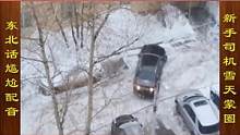 东北话搞笑配音，新手司机下雪天倒车发生碰撞，蒙圈了 #搞笑配音 #搞笑视频