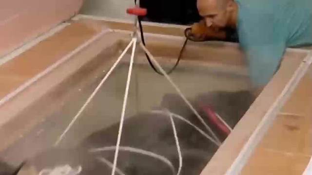 “冰冻人”能得到永生？世界上第一位冰冻人，如今复活了吗？