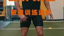 动作集合-敏捷训练动作#运动表现 #功能性训练 #爆发力 #弹跳训练