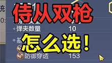 妄想山海：拍卖行捡漏10发的连珠铳！三种双枪，侍从带那种最强 #妄想山海