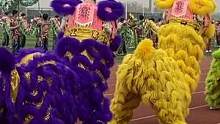 你挺妖啊！#运动会开幕式 #舞狮表演