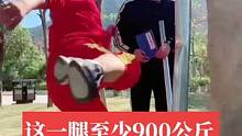 这一腿至少900公斤，穿透力高达1200公斤#发扬传承精武精神 #腿法 #危险动作请勿模仿 #这个动