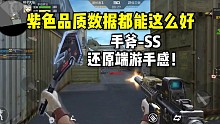紫色品质数据都能这么好？手斧-SS还原端游手感！