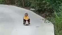 俩小孩玩滑滑车，前一秒笑嘻嘻，后一秒哭唧唧。