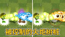 植物大战僵尸2：被控制的火炬树桩还有效吗？