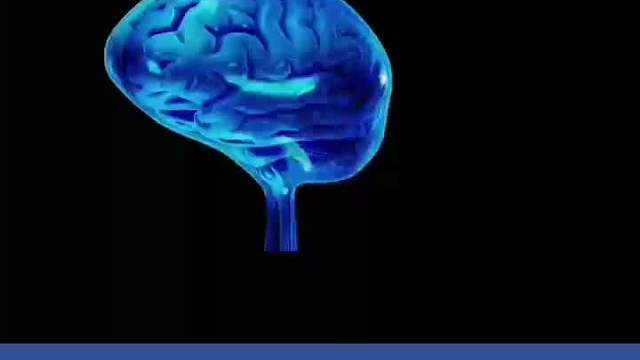 赶紧早睡，最新科学研究发现：熬夜真的会变笨