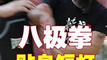 这就是八极拳！#贴身短打#挨帮挤靠#武术教学 #防身