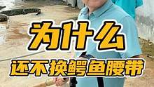 为什么还不换鳄鱼腰带！#谢#鳄鱼 #皮带 #鳄鱼养殖场 #男士腰带