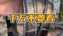不喜欢千万不要看！#谢#鳄鱼 #鳄鱼养殖场 #男士腰带 #皮带