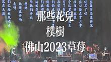 全场合唱那些花儿#草莓音乐节 #朴树 #佛山草莓音乐节 #现场版live #2023年一定要去看场演