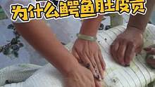 贵有贵的道理…#鳄鱼 #鳄鱼养殖场 #鳄鱼皮具 