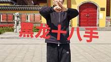 这套功夫会的人不多了 #一套动作行云流水 #功夫 #擒拿格斗防身术 #黑龙十八手 #高手在民间