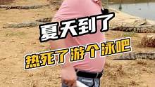 夏天到了，热死了游个泳吧#鳄珍 #鳄鱼
