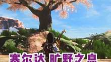 海拉鲁这片深爱的土地，哈哈，我回来了！ #游戏日常 #游戏风景 #塞尔达传说旷野之息