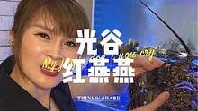 49.9一只小青龙还送两个大鲍鱼，光谷这家红燕燕不要太夸张#为五一假期准备512g的胃 #是时候安排
