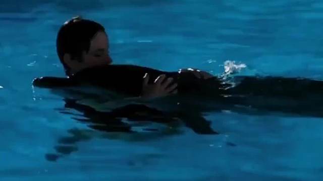 被封50年的海豚实验，结局令人唏嘘！