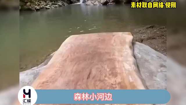 给我看饿了，好羡慕狗子~