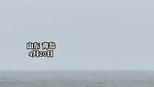 礁石上#拍照 遇涨潮险被海水淹没，去海边务必注意#安全 ！#山东生活日记