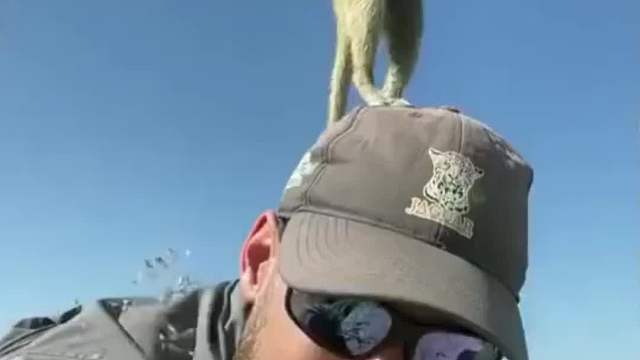 本来是拍风景的，结果自己成了景点！