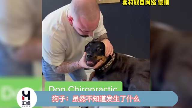 狗子：“他明明对我做了什么，但是我没证据！”