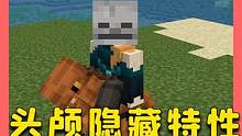 我的世界：头颅可以屏蔽自身？5个你可能不知道的小技巧 #我的世界 #Minecraft #单机游戏