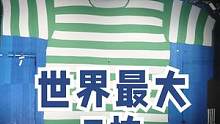 #世界地球日 2018年，一印度塑料基金会将回收的20万支废旧聚酯瓶制作了一件世界最大T恤。打破纪录