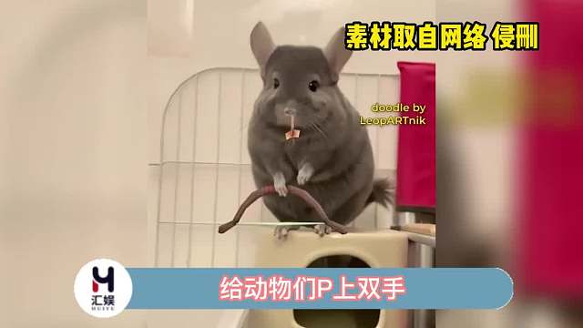 当给动物们P上双手，一场有趣的故事开始上演了！