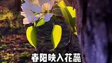 10岁小朋友写文章居然会用这么多好词好句，原来是用了它...#家庭教育 #做智慧父母培养优秀孩子 #