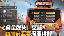 【合金一点通】极限冠军赛篇：秘籍大放送，冠军冲榜不是梦！