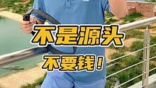 不是源头不要钱！#谢#鳄鱼 #鳄鱼养殖场 #皮带 #男士腰带