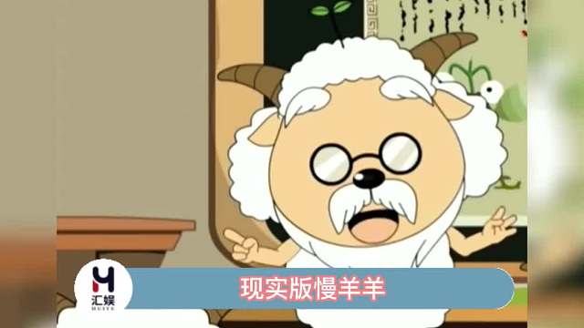 像极了吃撑了走不动路的我！这是现实版慢羊羊吧