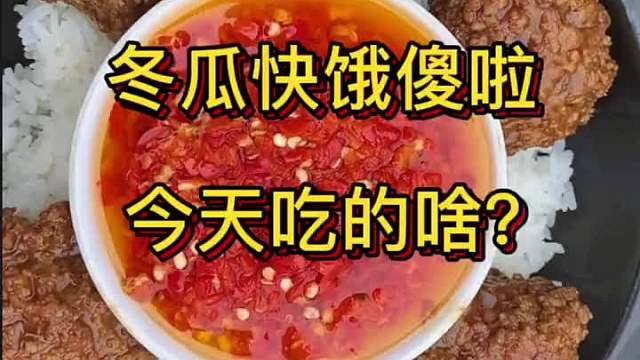 是不是冬瓜几天没有吃饭，有点饿晕了，明天想让我们吃啥？