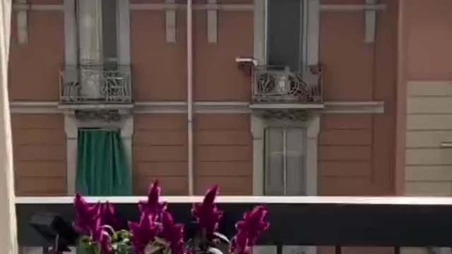 是猫咪的话那就没事了！