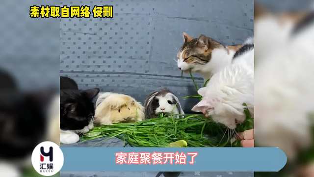 这一家子怎么做到相安无事的