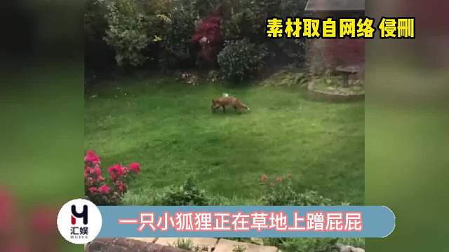 当你忘记自己在公共场所时，就是一整个尬住了！