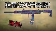 这就是QXR的升级版！！