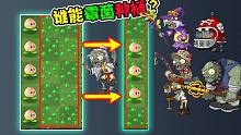 僵尸竞赛题：究竟哪些僵尸可以把植物种植在霉菌上？