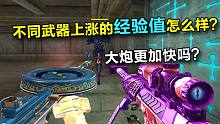 【CF小实验】不同武器上涨的经验值速度怎么样？