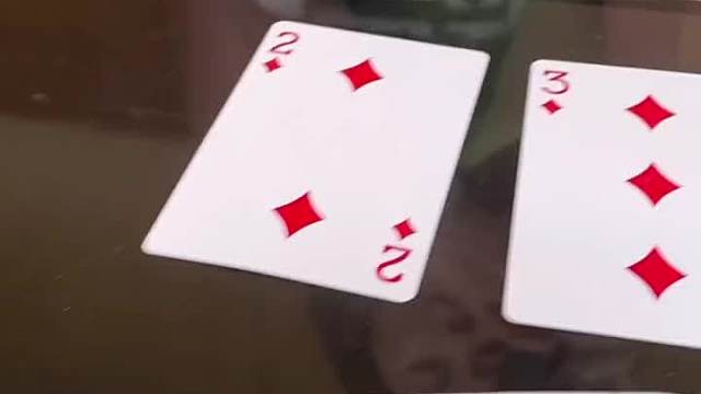 房东是笨蛋……你们知道咋回事吗？